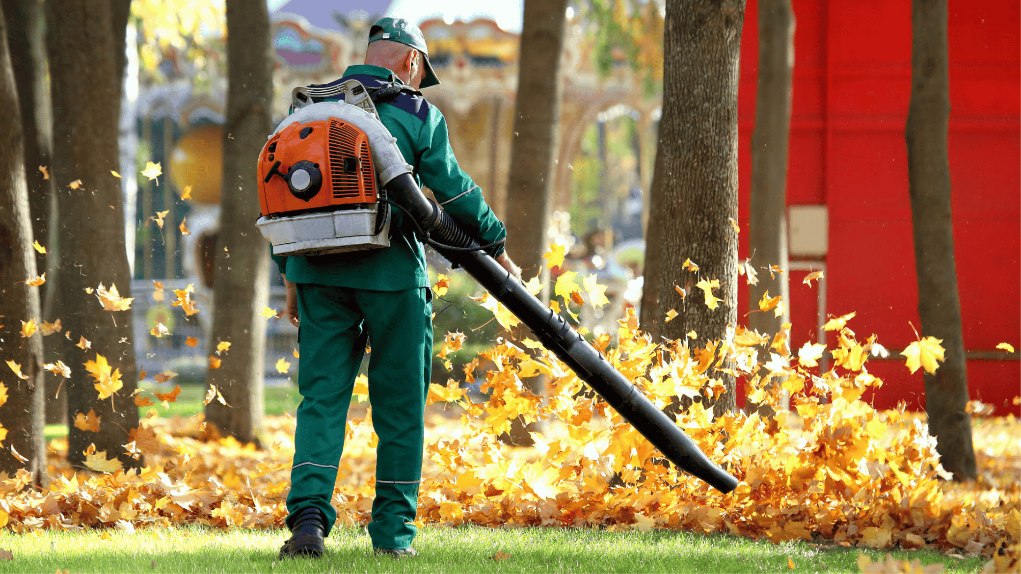 Seasonal & Cleanup Services